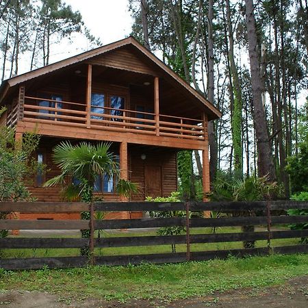 Green Cottage Shekvetili 우레키 외부 사진