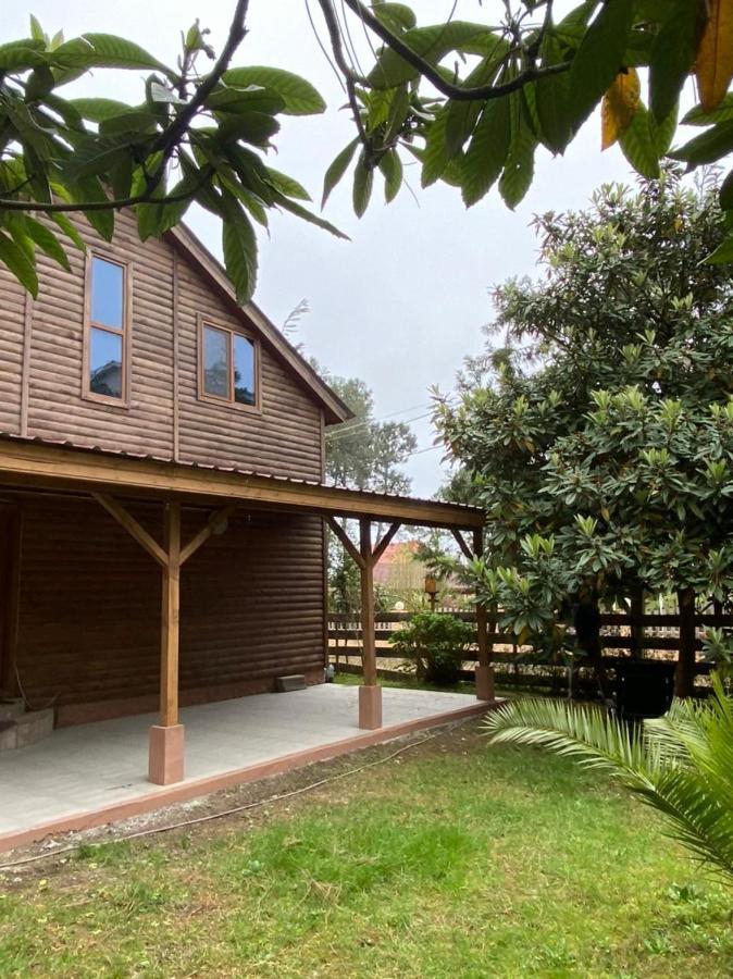 Green Cottage Shekvetili 우레키 외부 사진