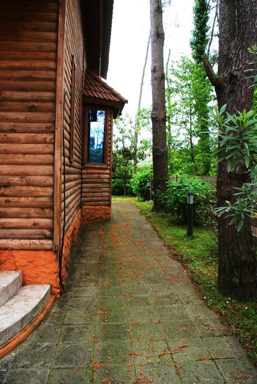 Green Cottage Shekvetili 우레키 외부 사진
