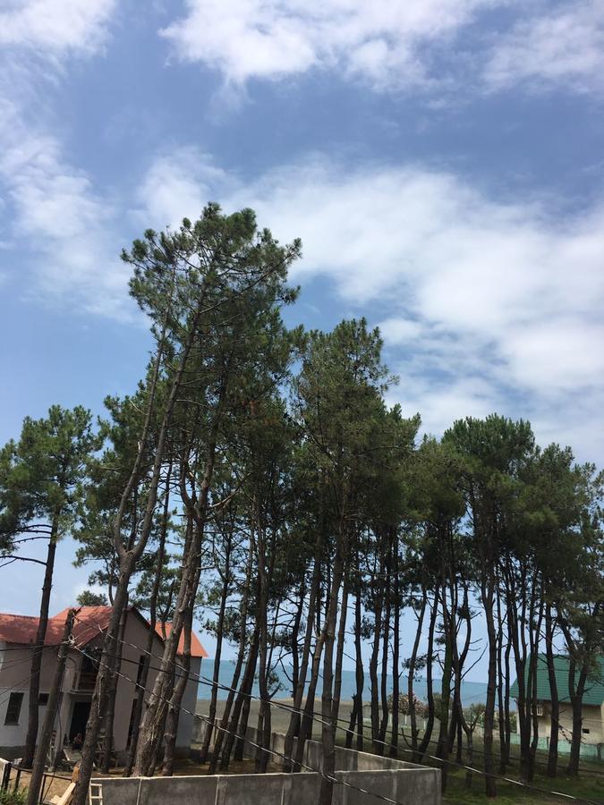 Green Cottage Shekvetili 우레키 외부 사진