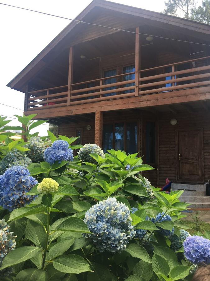 Green Cottage Shekvetili 우레키 외부 사진